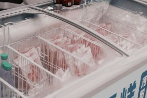 GE Freezer FCM11PHWW