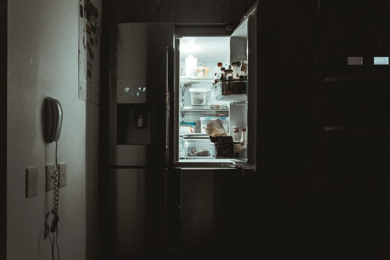 GE GTS22KSNRSS Refrigerator — specifications and repair